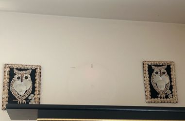 2 Owl Decor
