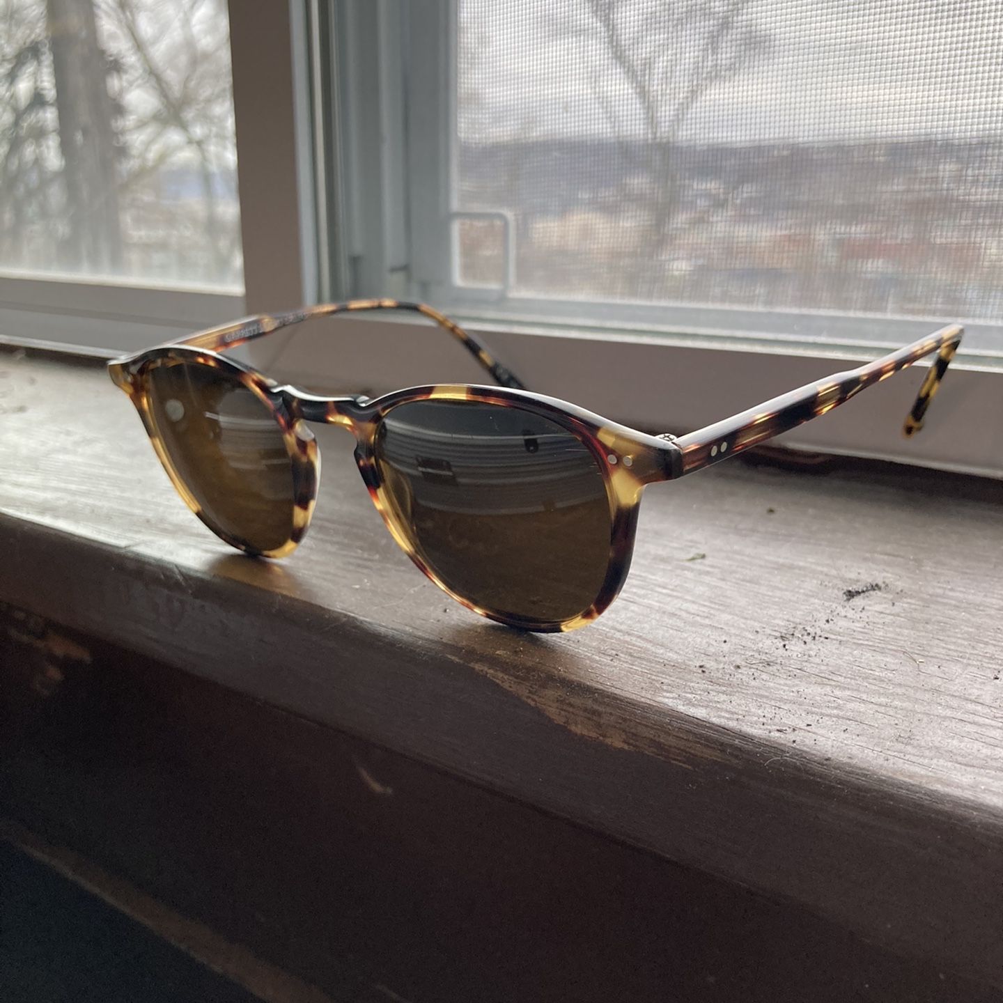 Sunglasses Garrett Leight California Tortoise