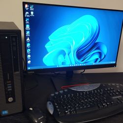 HP Desk Pro System - LOADED - 3.4Ghz, 16GB, 2TB, HDD, Dvdrw, WiFi, 2024 Win 11 Pro + Apps $250