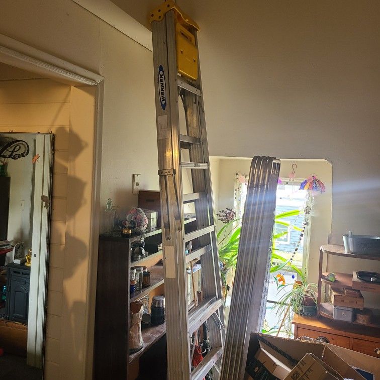 8' Ladder