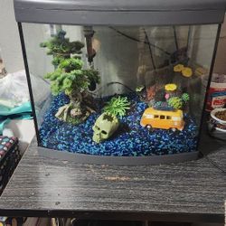 20 Gal Fish Tank