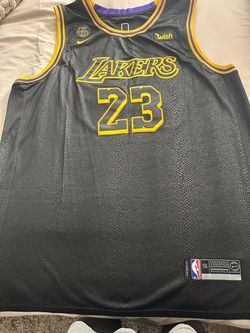 Nike Lakers #23 Swingman Jersey Size 56