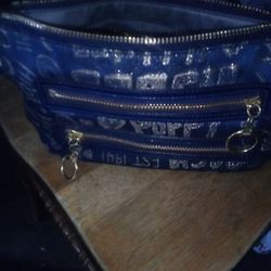 Coach Purse (Authentic)