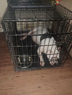 Large Dog Cage -Double Door