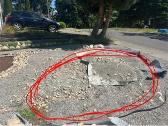 Free Pea gravel and hand size river rocks