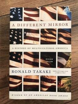 A Different Mirror