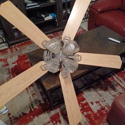 Ceiling Fan 