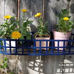 Metal Garden Wall Basket