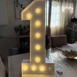 ONE SILLY GOOSE PARTY DECOR