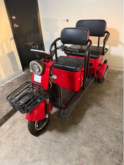 Leopard electric cart/scooter
