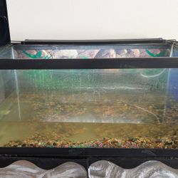 50 Gallon Tank & Light bar