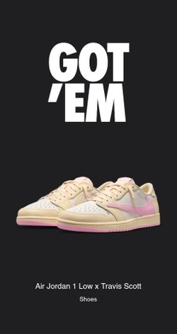 Jordan 1 Retro Low OG SP
Travis Scott Shy Pink Size 11