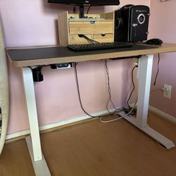 Flexispot Adjustable Maple Electric Office Work Stand Up Desk 42x24 Rectangle White Frame 