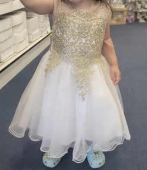 Fancy Toddler Dress 4t