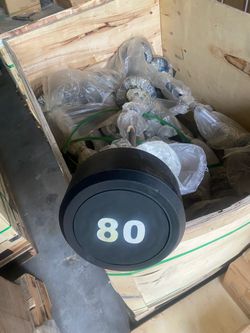 80 lb Fixed Curl Barbell