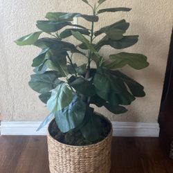 Faux Potted Plant