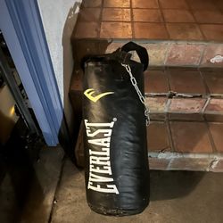 Everlast Punching Bag