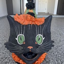 Halloween Cat