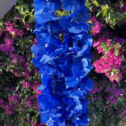 Custom Graduation Jolly Rancher lei