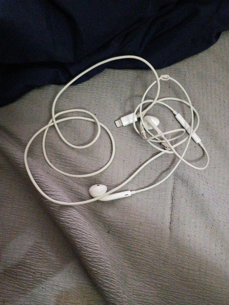 Apple Headphones
