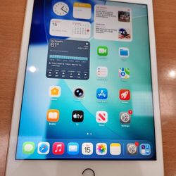 IPad Mini 5th Gen Like New