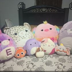 New Squishmallows!!