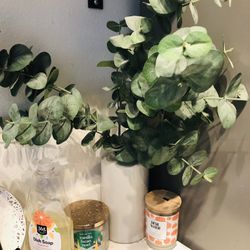 Target Vase And Fake Plants 