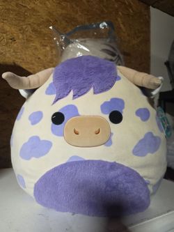 Squishmallows    (Conway) 16in
