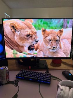 OMEN Transcend 31.5 inch UHD 240Hz OLED Gaming Monitor - OMEN Transcend 32
