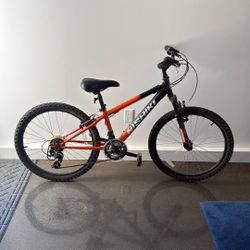 Girls 24” Nishiki Mountain Bike