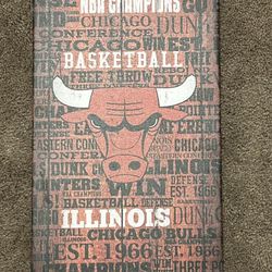 Chicago Bulls Collectible NBA Canvas
