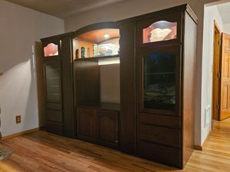 Custom Solid Wood Entertainment Cabinet + 225 Rock\Alternative CDs