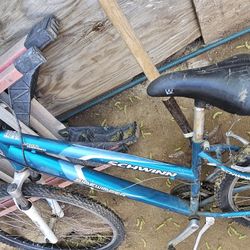 Schwinn Bike 