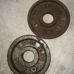 Olympic Weight Plates 