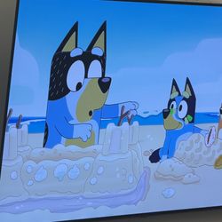 LG OLED55CXPUA (55-inch)