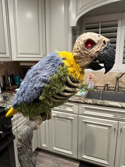 5 Foot Tall Dead Water Animated LED Halloween Rotwing Parrot - NEW & Assembled