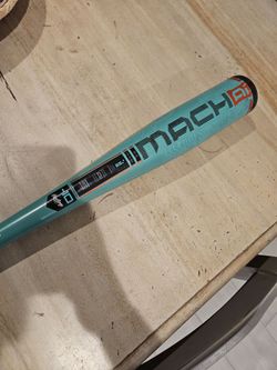 Raleigh baseball bat