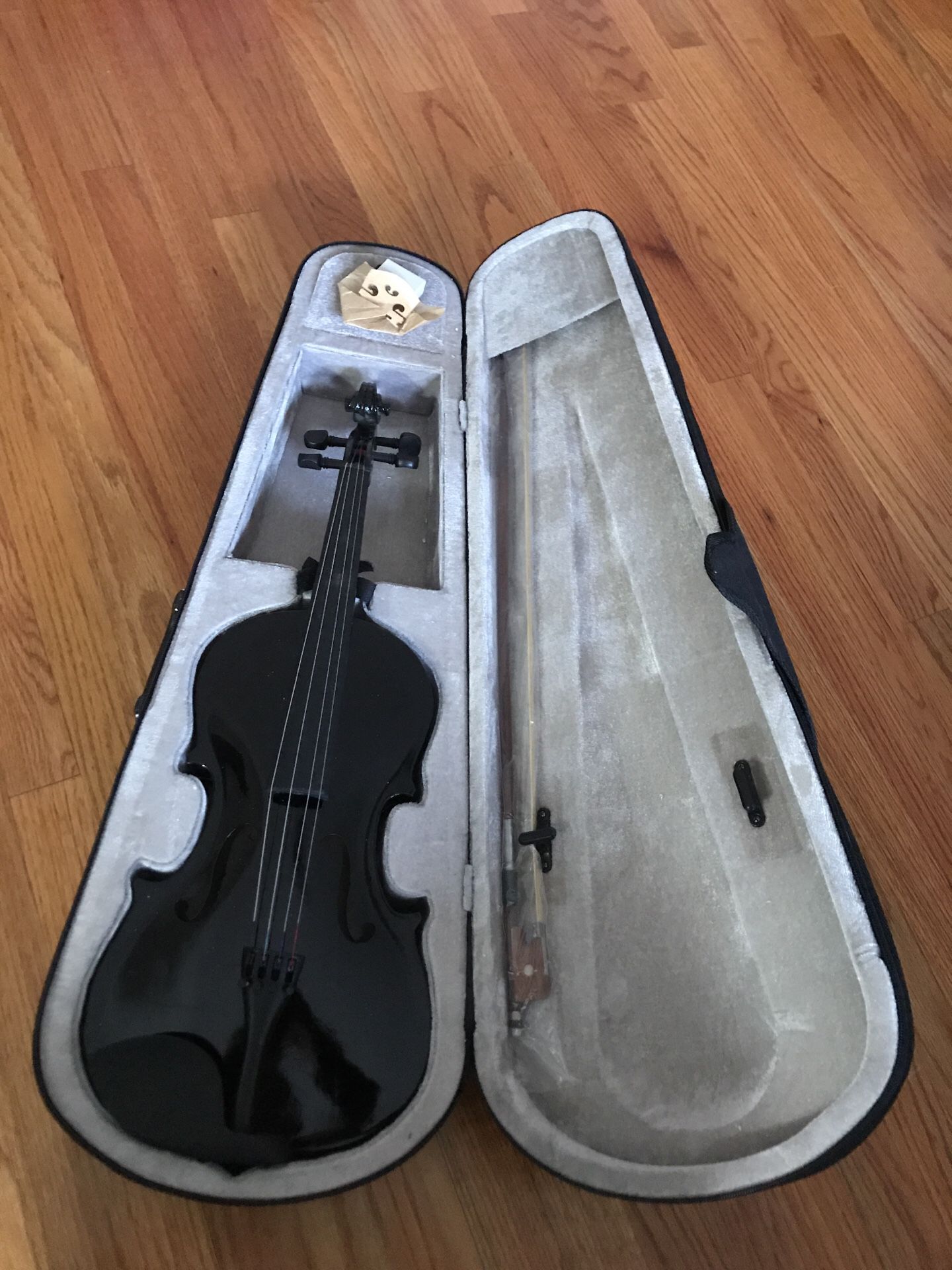 Violin & brand new
