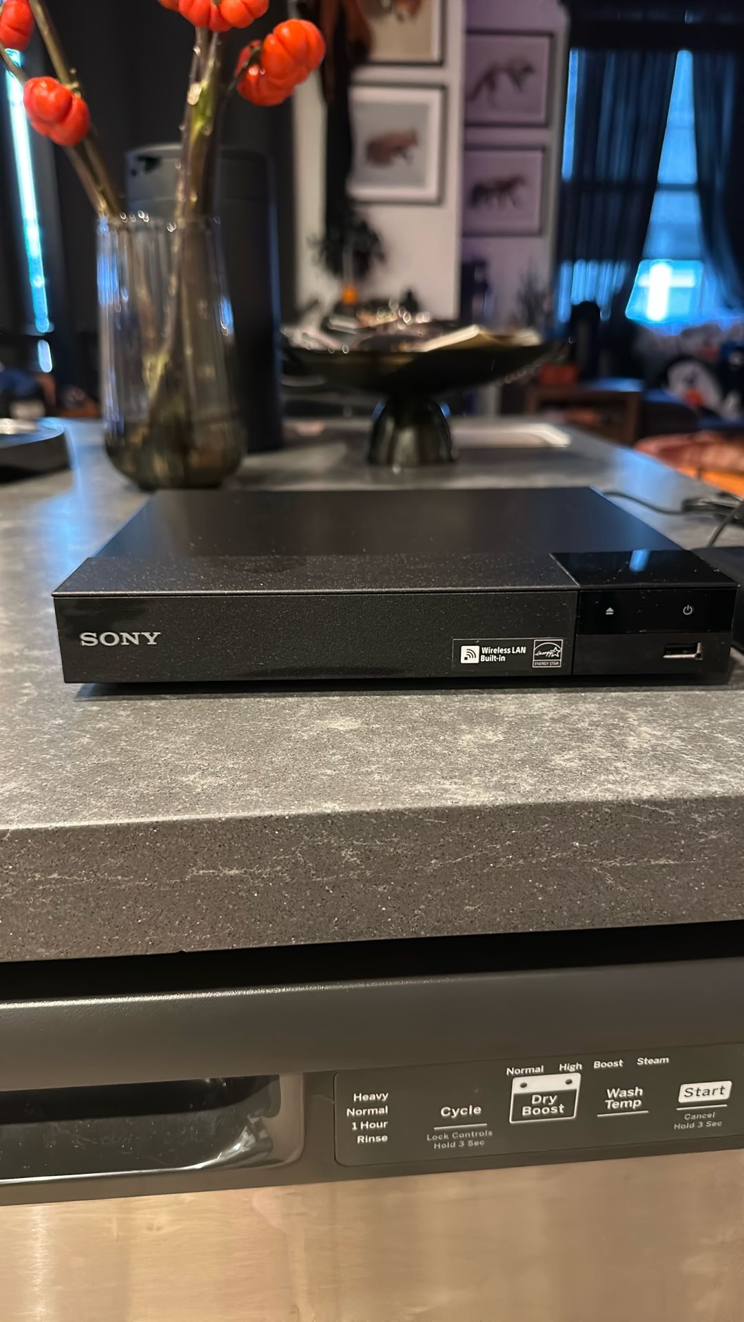 Sony Blu-Ray Disc Player