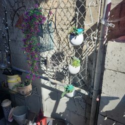 Sale Sale Open Till 6pm 