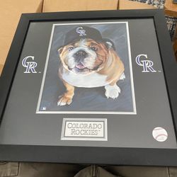 Bulldog Rockies Picture 