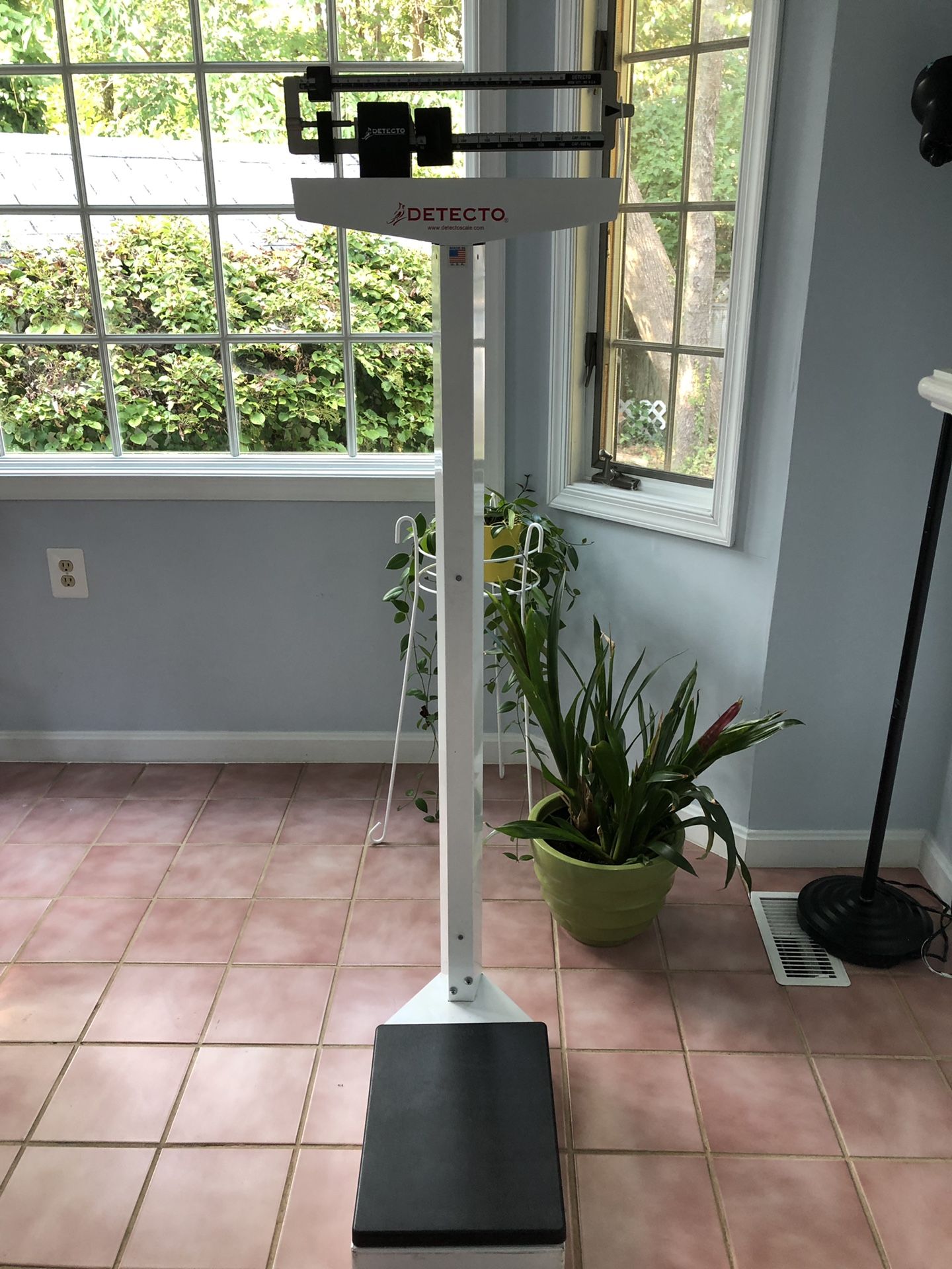 Detecto Physician Scale