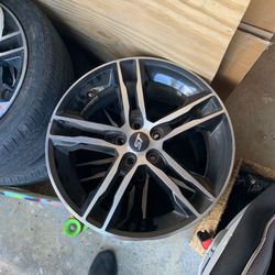 Focus st rims