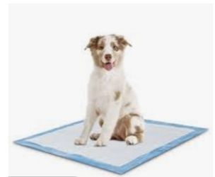 Bed Liners Or Puppy Pads