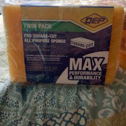 Twin Pack All Purpose Sponge