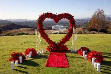 Heart Arch