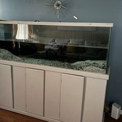 125 Gallons Fish Tank