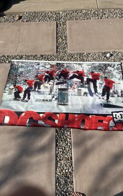 Josh Kalis DC Vinyl Two Sided Poster 