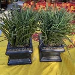 2 Beautiful Artificial Plant For 45
