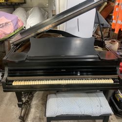 Baby Grand 